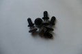 DSC01034.JPG