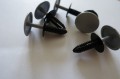 DSC01023.JPG